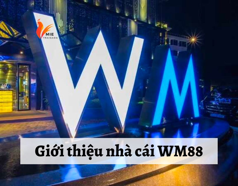Nhà cái WM88 - Thiên đường giải trí trực tuyến hay nhất 